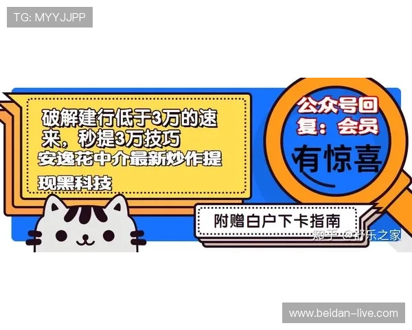 买波胆其他什么意思避坑指南极速提现防骗
